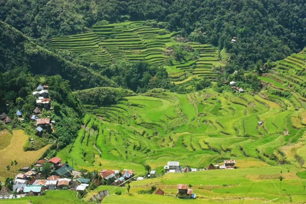 Hotel Batad Transient House Banaue Exteriér fotografie