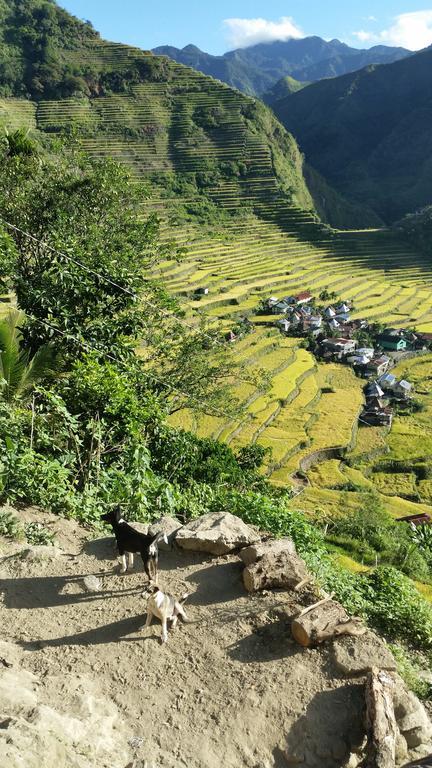 Hotel Batad Transient House Banaue Exteriér fotografie