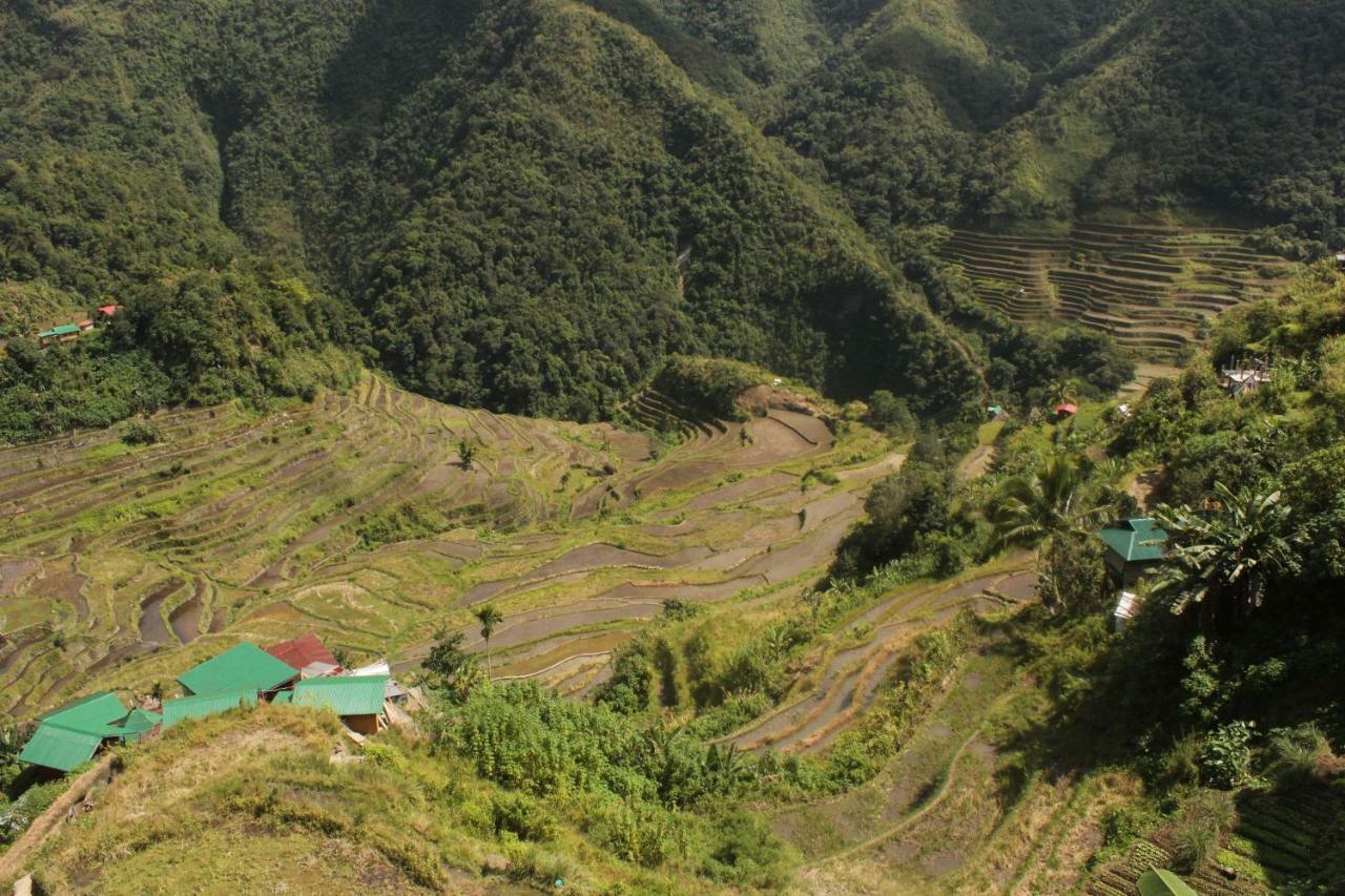 Hotel Batad Transient House Banaue Exteriér fotografie