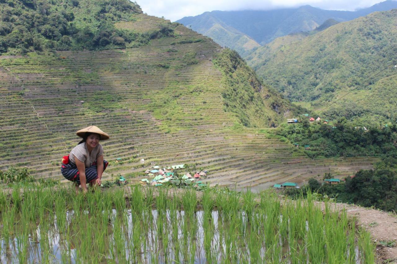 Hotel Batad Transient House Banaue Exteriér fotografie